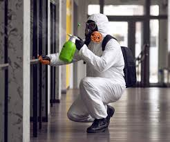 Why You Should Choose Our Mold Remediation Services in Orofino, ID