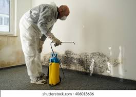 Mold Remediation for Vacation Homes in Orofino, ID